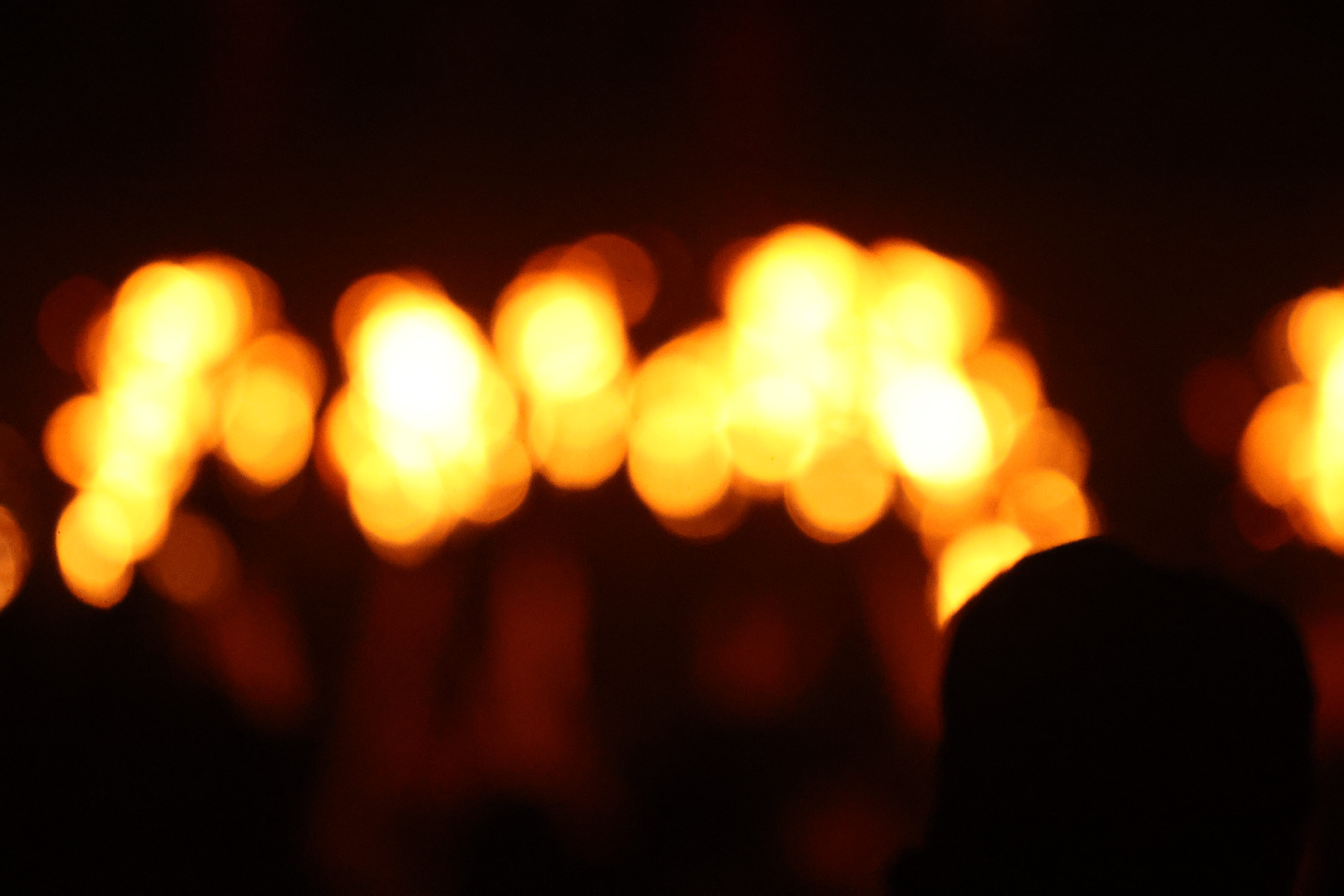 20230131204640_6S8A3456